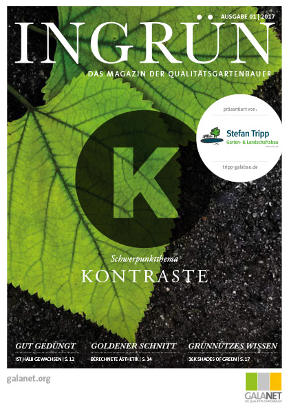 INGRÜN 01/2017