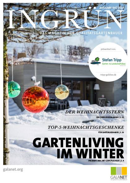 INGRÜN 04/2017