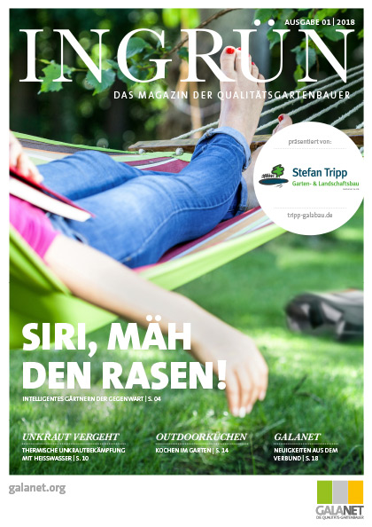 INGRÜN 01/2018