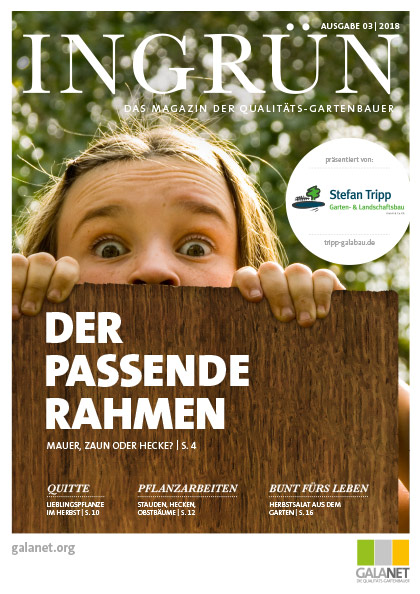 INGRÜN 03/2018