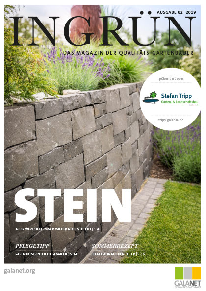 INGRÜN 02/2019
