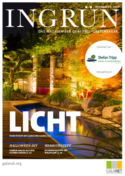 INGRÜN 03/2019