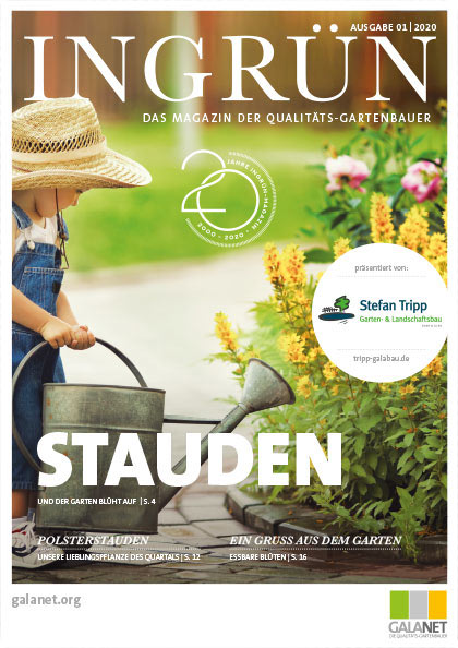 INGRÜN 01/2020