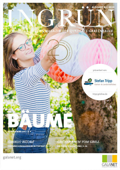 INGRÜN 02/2020