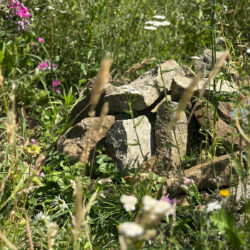 Aufgeschichtete Natursteine