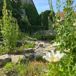 Sitzplatz im naturnahen Garten